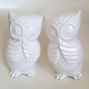 Pair of White Owls Decor from Ashland Signature Accents